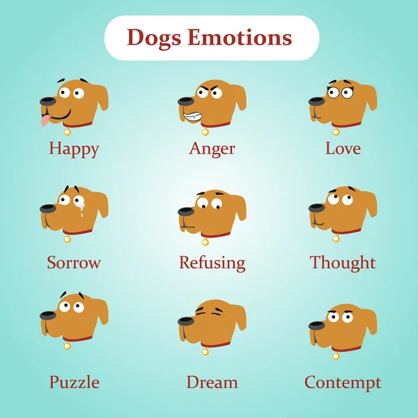 Σκύλος συναισθήματα: χαρά, θυμός, αγάπη και άλλα — Διανυσματικό Αρχείο