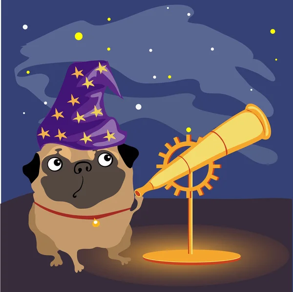 Wetenschapper hond pug kijken naar de sterren — Stockvector