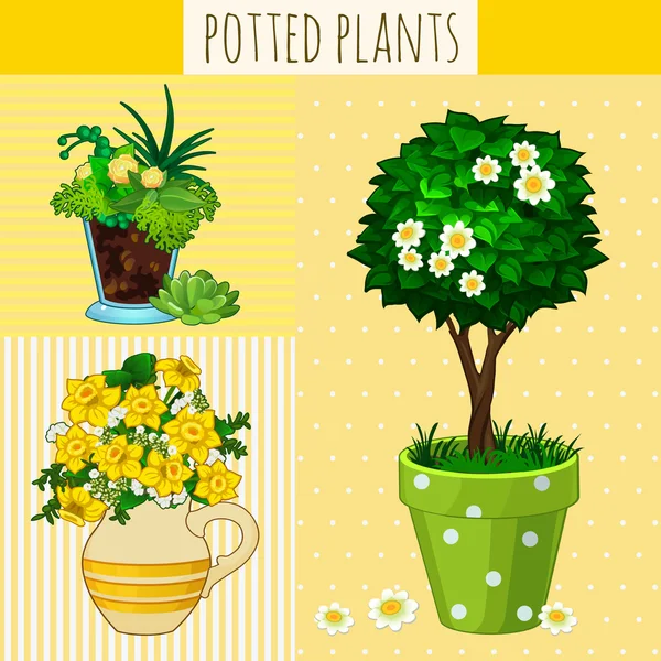 Three different flowers in pots — Stock Vector