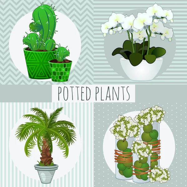 四个不同的绿色的植物在花盆里 — 图库矢量图片