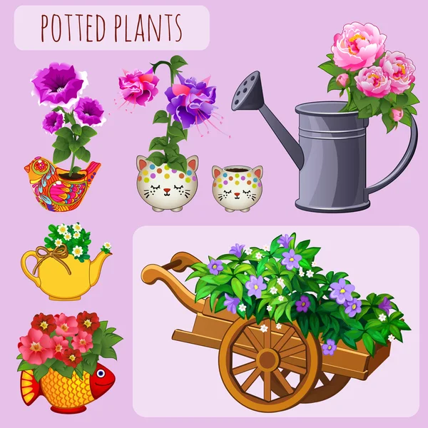 Vasos de flores incomuns em um fundo rosa — Vetor de Stock
