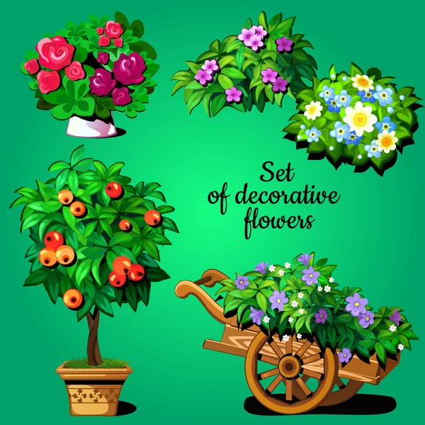 Home set of decorative flowering plants — Stock Vector