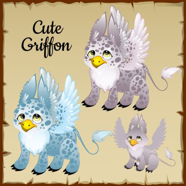 Üç griffons kümesi