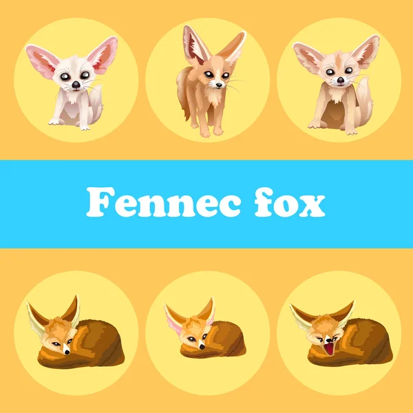 Carino impostare fennec volpe su uno sfondo giallo — Vettoriale Stock