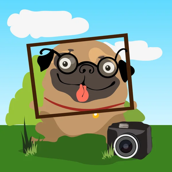 Pug fotoğrafçı, fotoğraf çekmek için davet ediyor — Stok Vektör