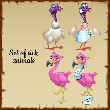 Çizgi film karakterleri, hasta ve sağlıklı Flamingo