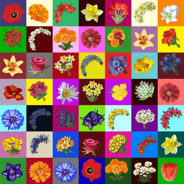 Great set of flowers, 49 species