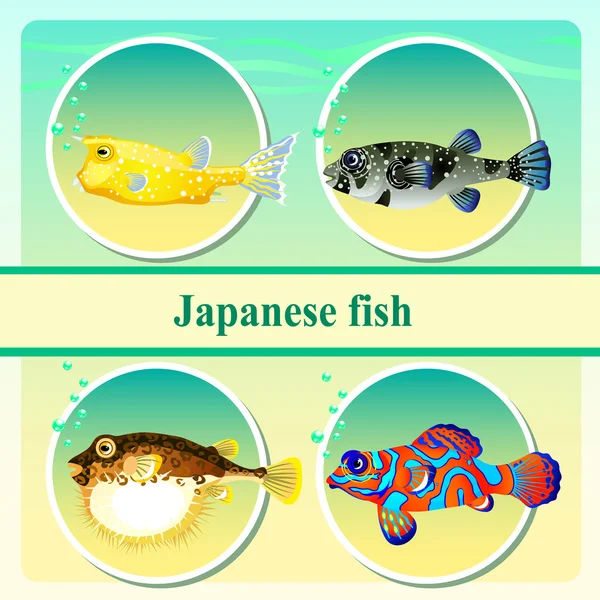 Készlet-ból négy japán tengeri hal — Stock Vector