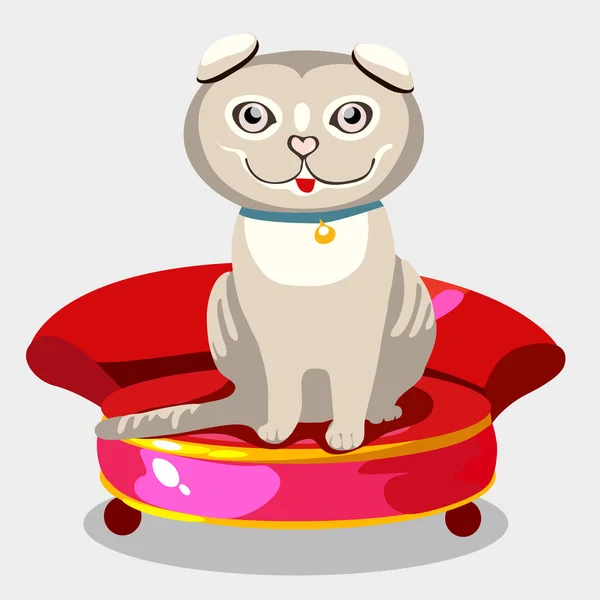 İskoç fold yavru kedi üzerinde kırmızı koltuk — Stok Vektör