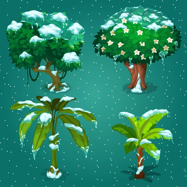 Чотири тропічні рослини в льоду — стоковий вектор