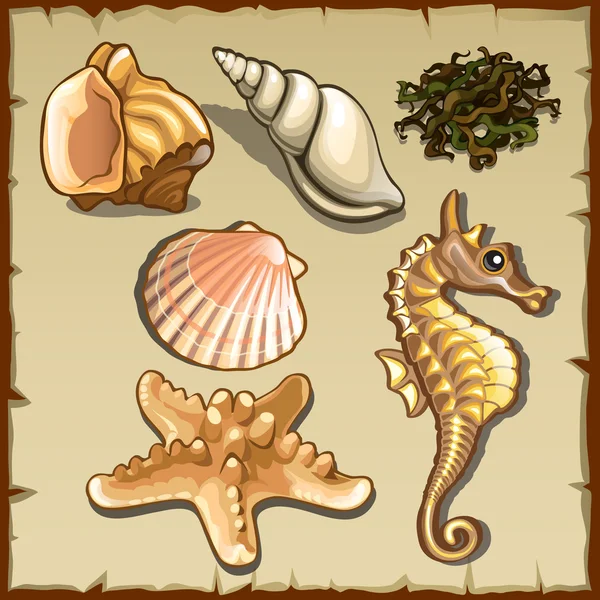 貝殻や海藻、六つのアイコンの装飾 — ストックベクタ