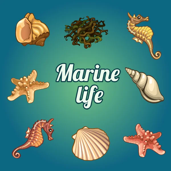 Conjunto de siete conchas y habitantes del mar — Vector de stock