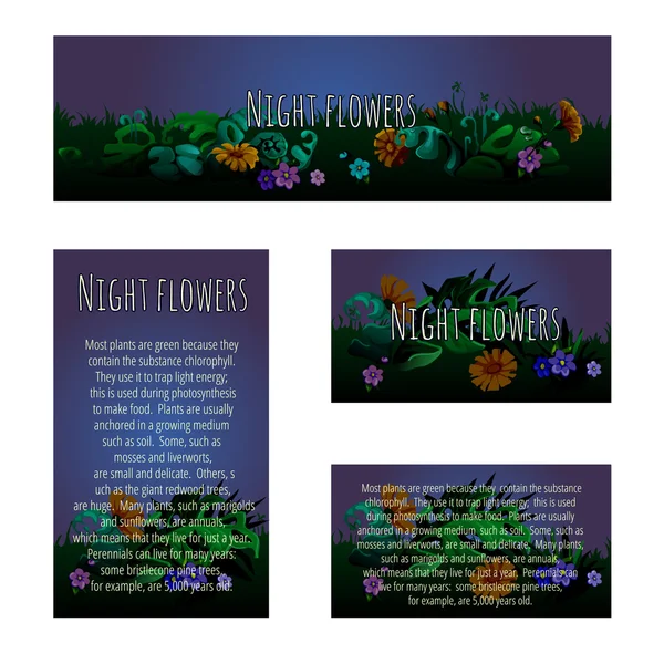 Čtyři magické karty s florálním ornamentem — Stockový vektor