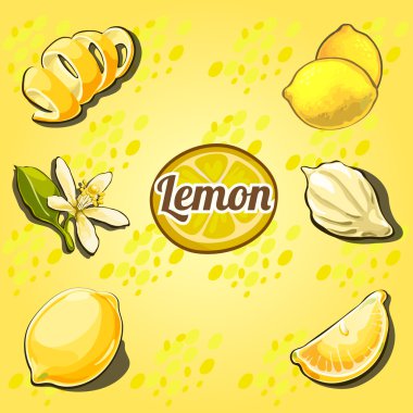 Limon koleksiyonu, farklı açılardan çekilmiş meyve