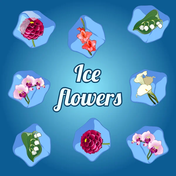 Beautiful flowers frozen in ice cubes — Stock Vector