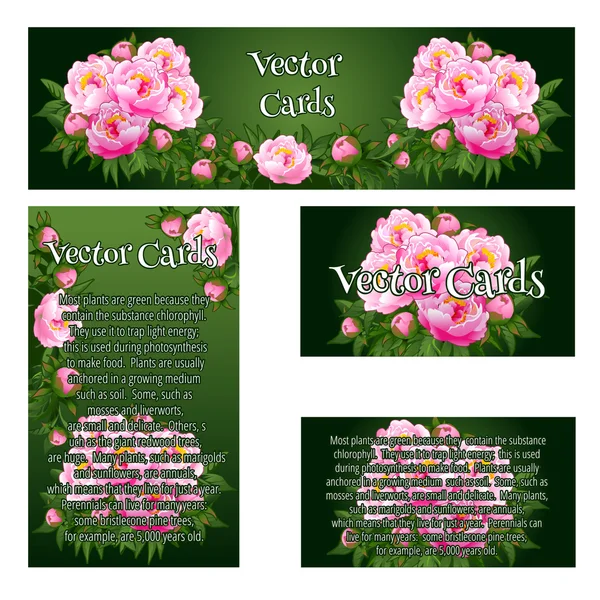 Conjunto de cuatro cartas con la imagen de rosas rosadas — Archivo Imágenes Vectoriales