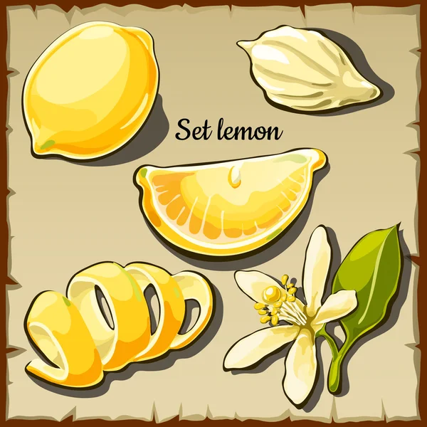 さまざまな角度から描かれたフルーツ、レモンのセット — ストックベクタ