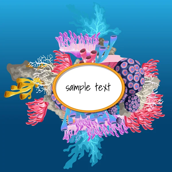 Mollmuscs 和珊瑚的椭圆形框架的文本 — 图库矢量图片