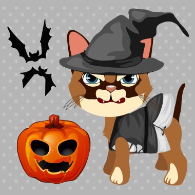 Kabak ve yarasalar ile kızgın kedi