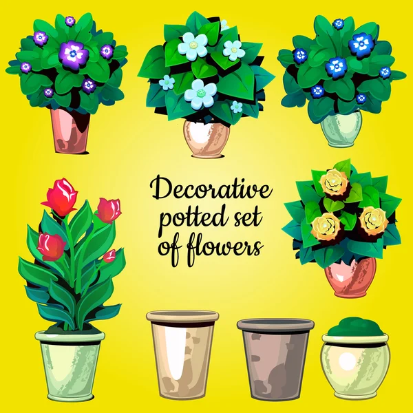 Conjunto de plantas decorativas flores y macetas vacías — Vector de stock