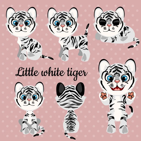 Conjunto de emoções um pequeno tigre branco —  Vetores de Stock