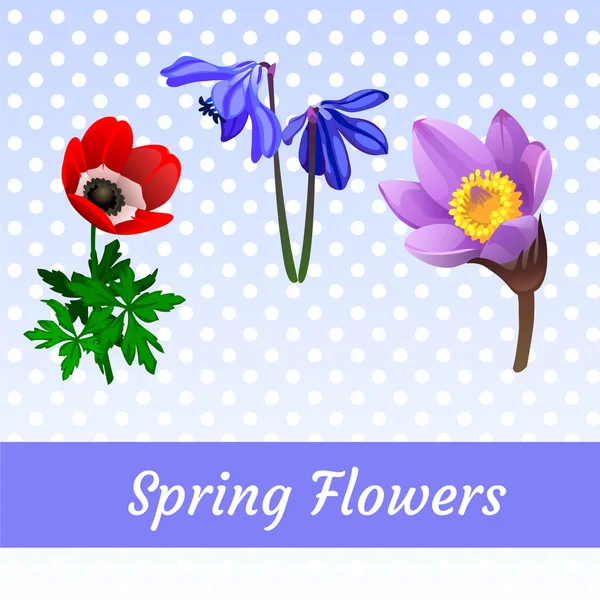 Drei Ikonen der Frühlingsblumen, Kunst für Ihre Designbedürfnisse — Stockvektor