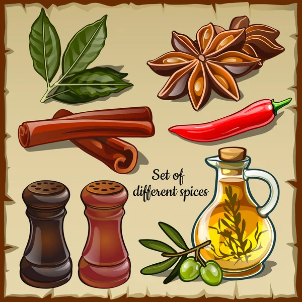 Set of different spices of the chef and foodie — Stock Vector