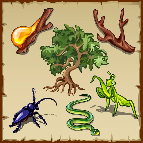 Växter, insekter och allehanda andra varelser — Stock vektor