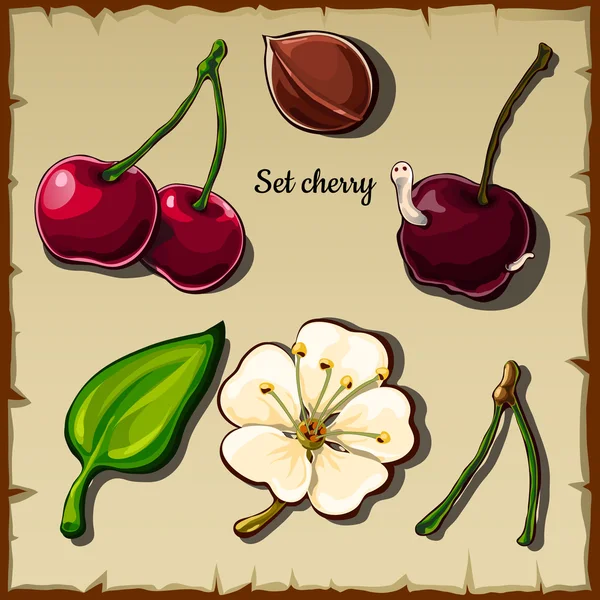 Cherry pictogrammenset, berry, bloem en meer, zes items — Stockvector