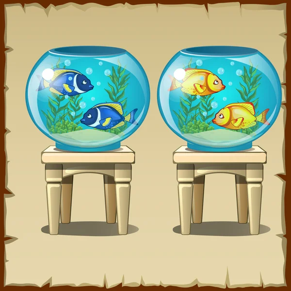 Set de dos acuarios con peces sobre taburetes de madera — Vector de stock