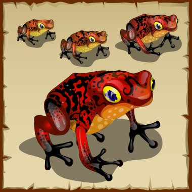 Red spotted toad with big eyes clipart
