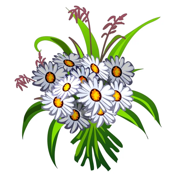 Zarif beyaz kır çiçekleri buketi — Stok Vektör