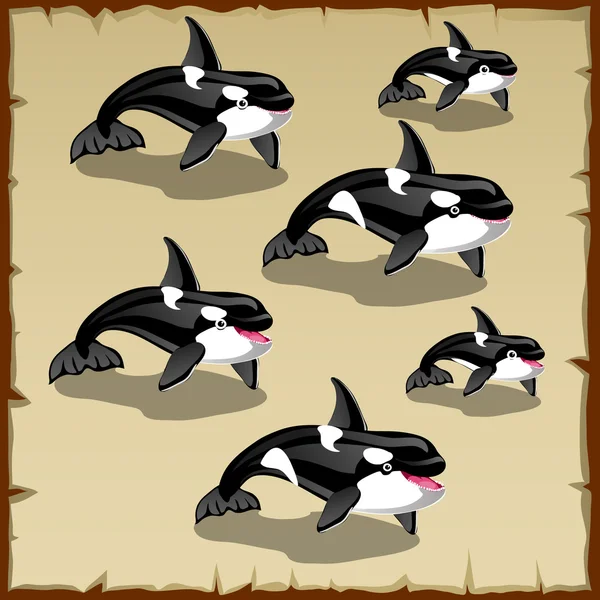 Set of cute killer whales, six icons — Stock Vector