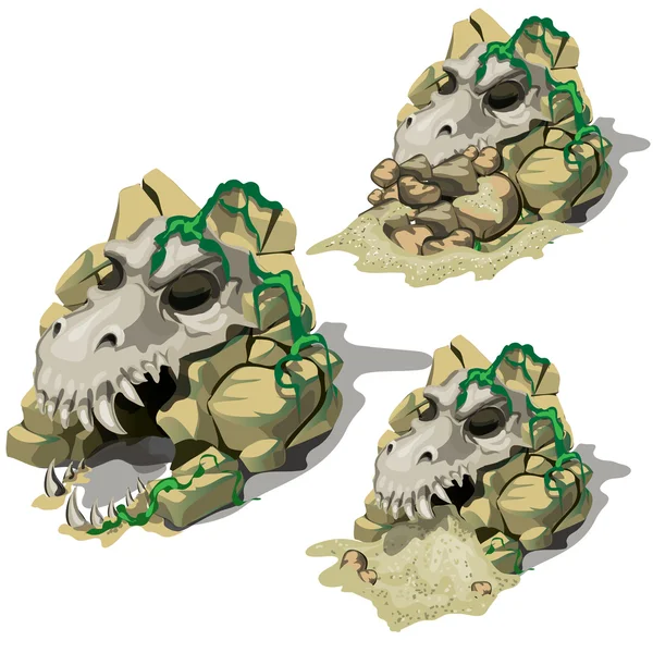 Alt mağarada hayvanların üç kafatası — Stok Vektör