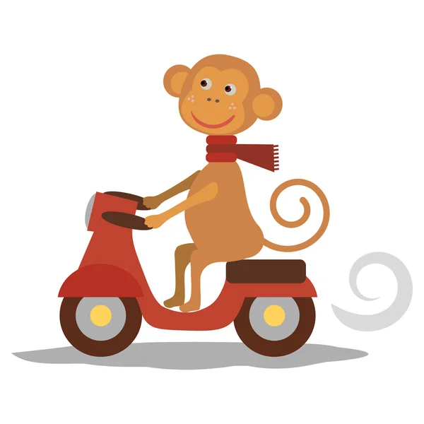 Mono lindo con bufanda en el transporte. Vecor. — Vector de stock