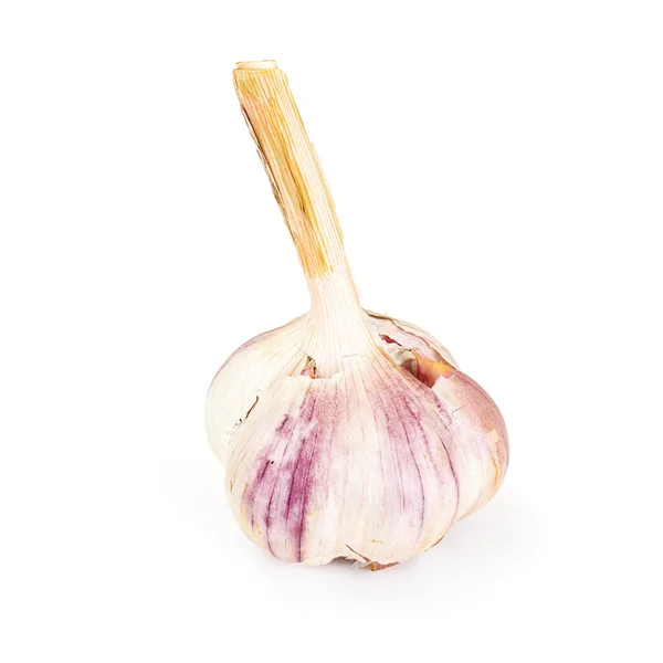 Garlic Head Isolated on White Background — Stock Photo, Image