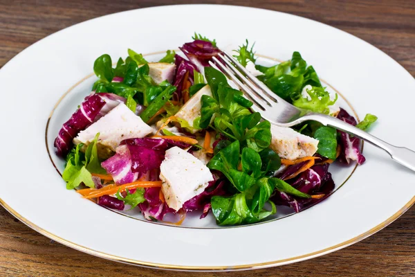 Mezcla de ensaladas Batavia, Levántate, Radicchio, Pollo de achicoria — Foto de Stock