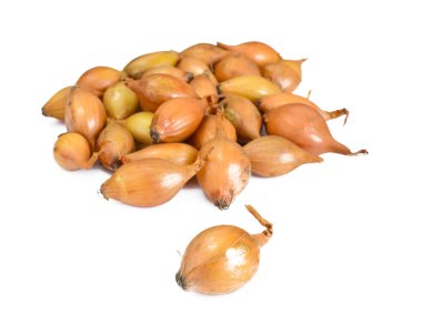 Beyaz arkaplanda taze soğan