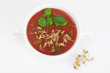 Domates çorbası Germinated tane plaka ile. Ulusal İtalyan Cui