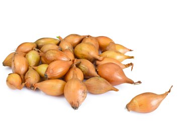 Beyaz arkaplanda taze soğan