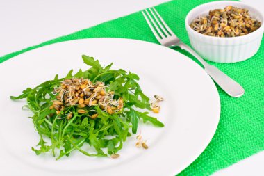 Roka Salatası ile beyaz plaka Germinated tahıl