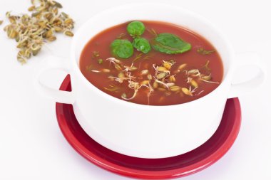 Domates çorbası Germinated tane plaka ile. Ulusal İtalyan Cui