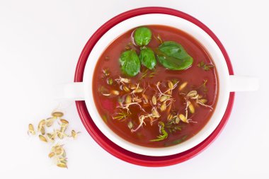 Domates çorbası Germinated tane plaka ile. Ulusal İtalyan Cui