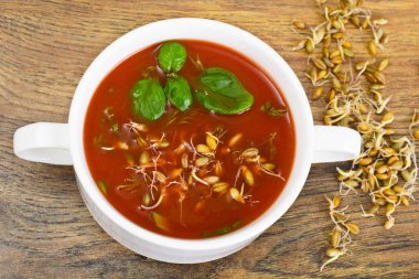 Domates çorbası Germinated tane plaka ile. Ulusal İtalyan Cui