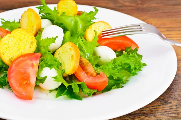 Ensalada de Lechuga Verde, Tomate, Bruschetta y Mozzarella — Foto de Stock