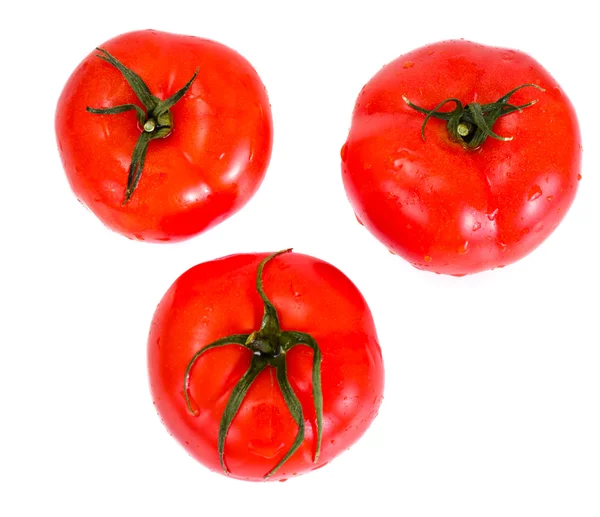 Tomates rojos aislados sobre un fondo blanco — Foto de Stock