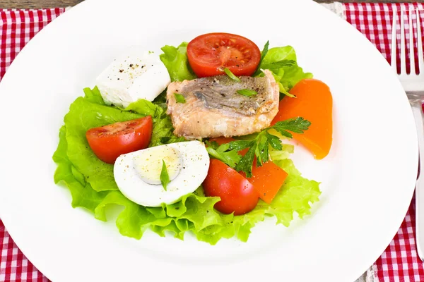 Salmão, alface, tomate e pimenta doce com ovo — Fotografia de Stock