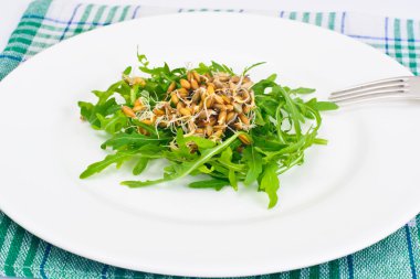 Roka Salatası ve çavdar fidan