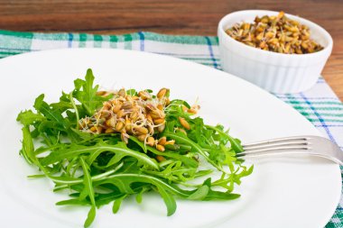 Roka Salatası ve çavdar fidan