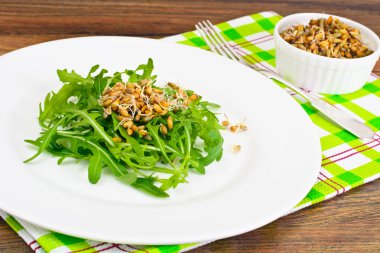 Roka Salatası ve çavdar fidan